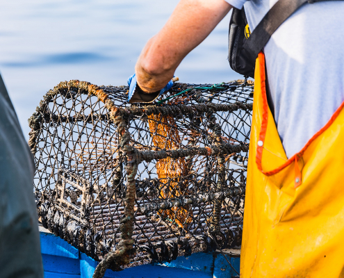 Seaview Crab Pot Fishing