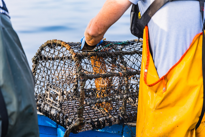 Seaview Crab Pot Fishing